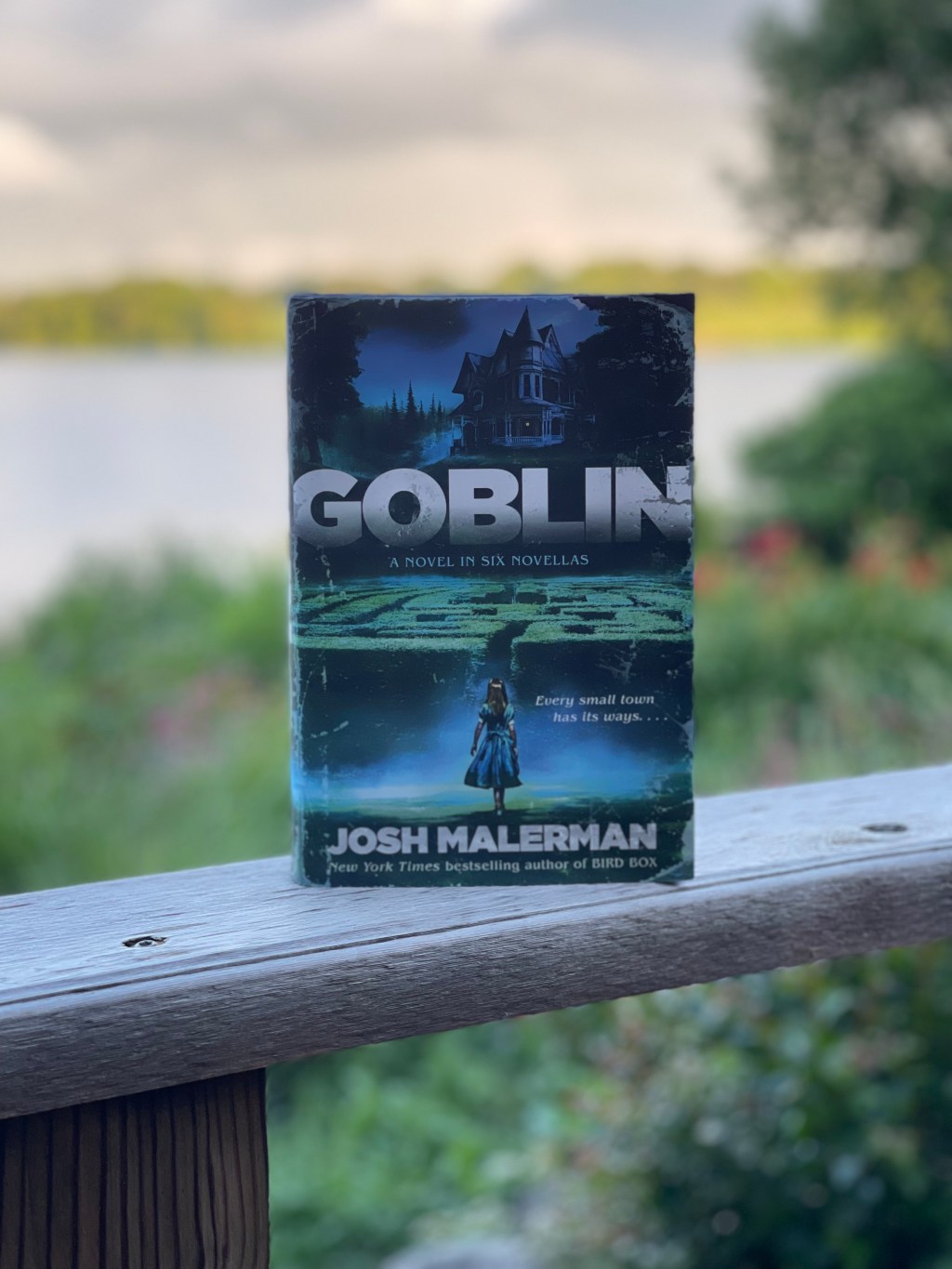 Goblin by Josh&nbsp;Malerman