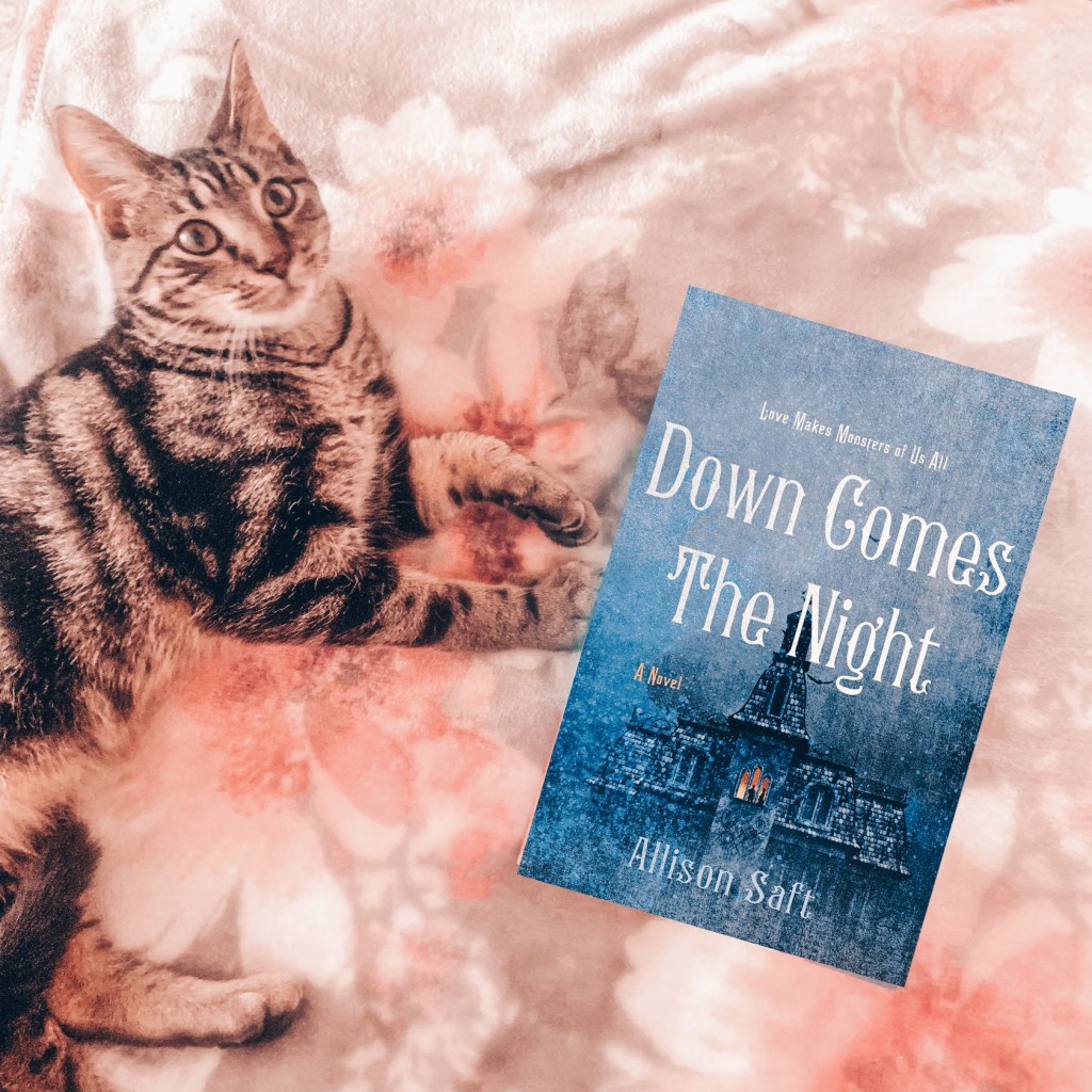 Down Comes the Night by Allison&nbsp;Saft