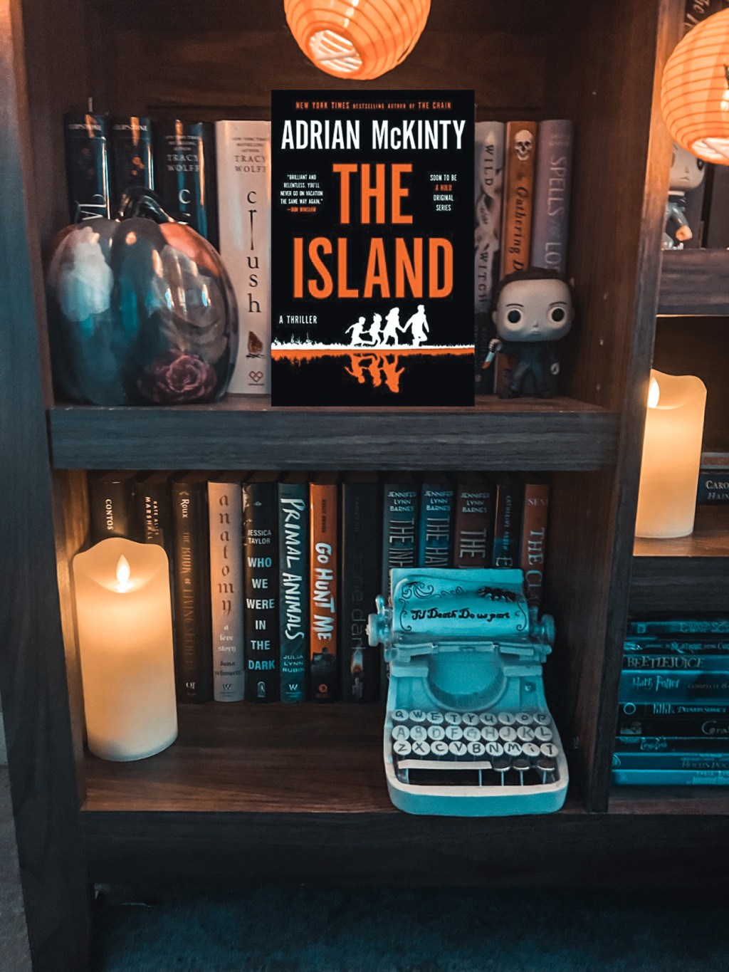 The Island by Adrian&nbsp;McKinty