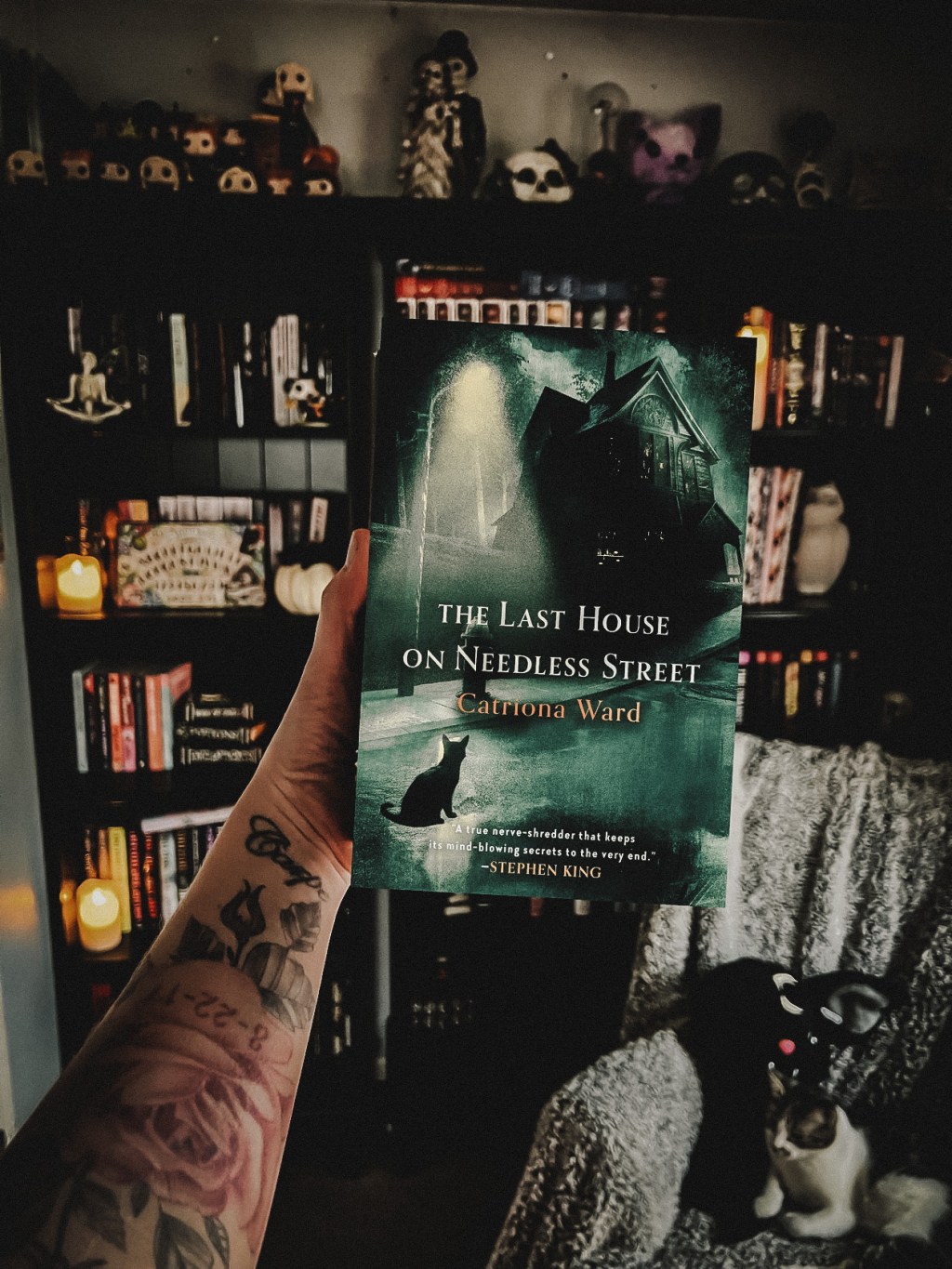 The Last House on Needless Street by Catriona&nbsp;Ward