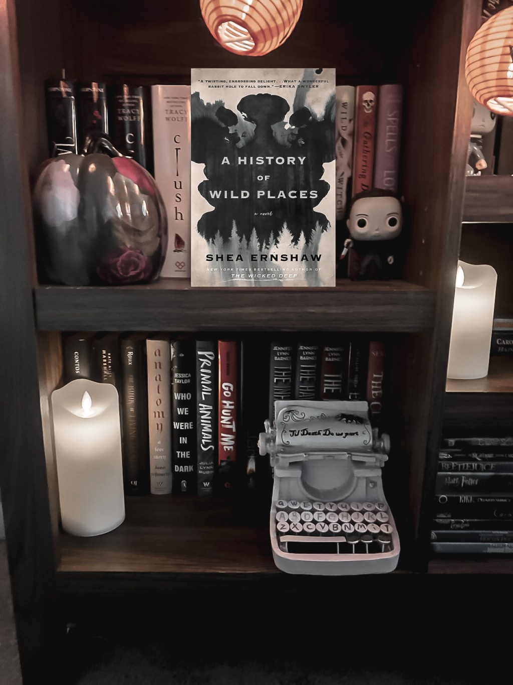 A History of Wild Places by Shea&nbsp;Ernshaw