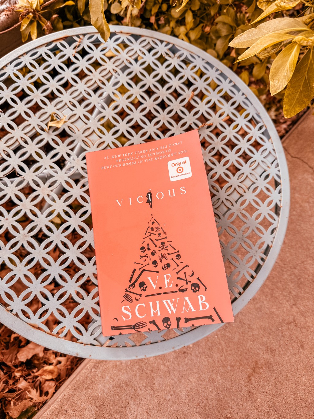 Vicious by V.E.&nbsp;Schwab